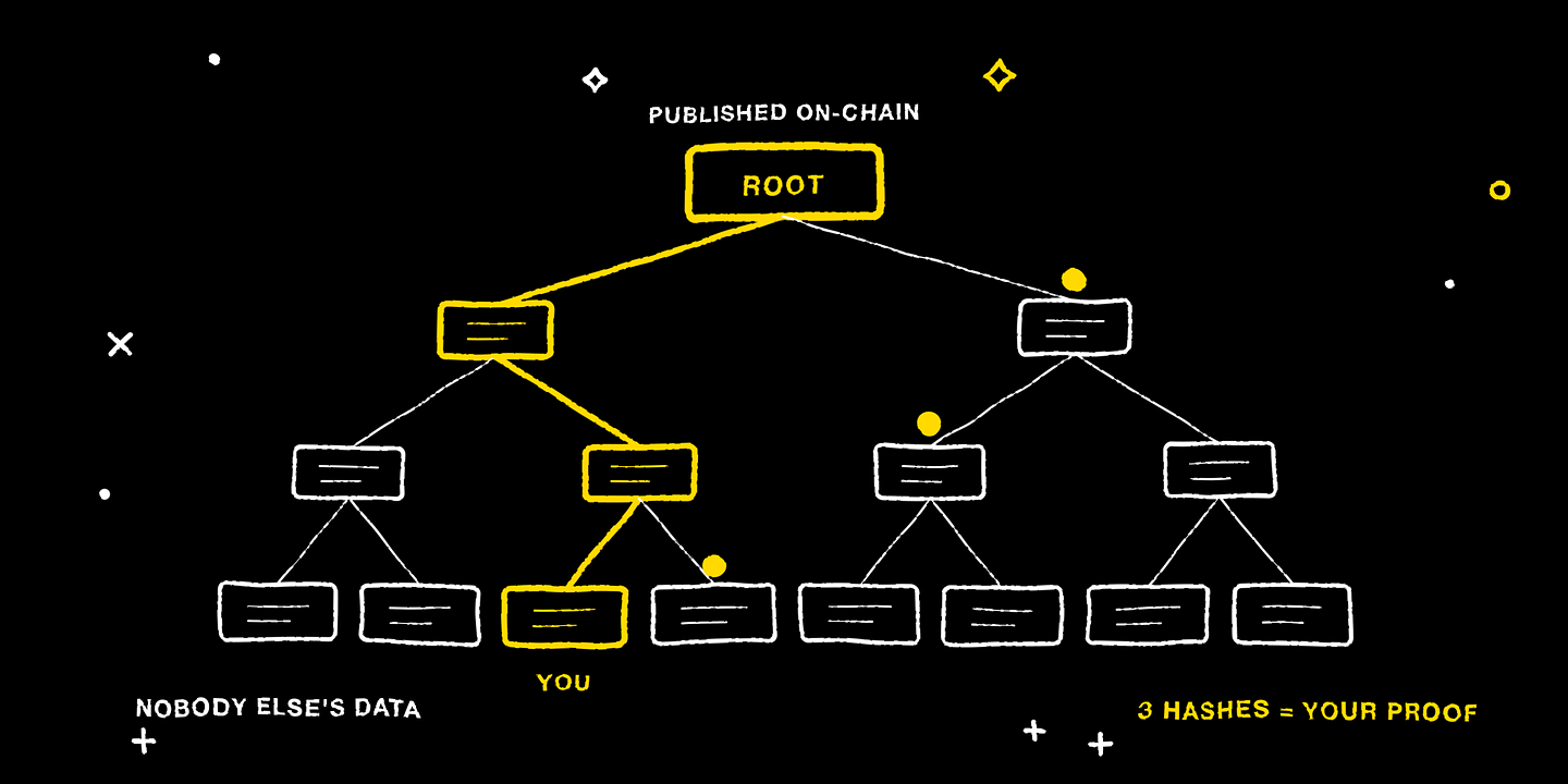 A Merkle tree: one short path proves your record without exposing anyone else's